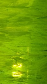 Hoja de Vidrio 826-9S VERDE
